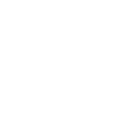 0% Irish And 100% Drunk