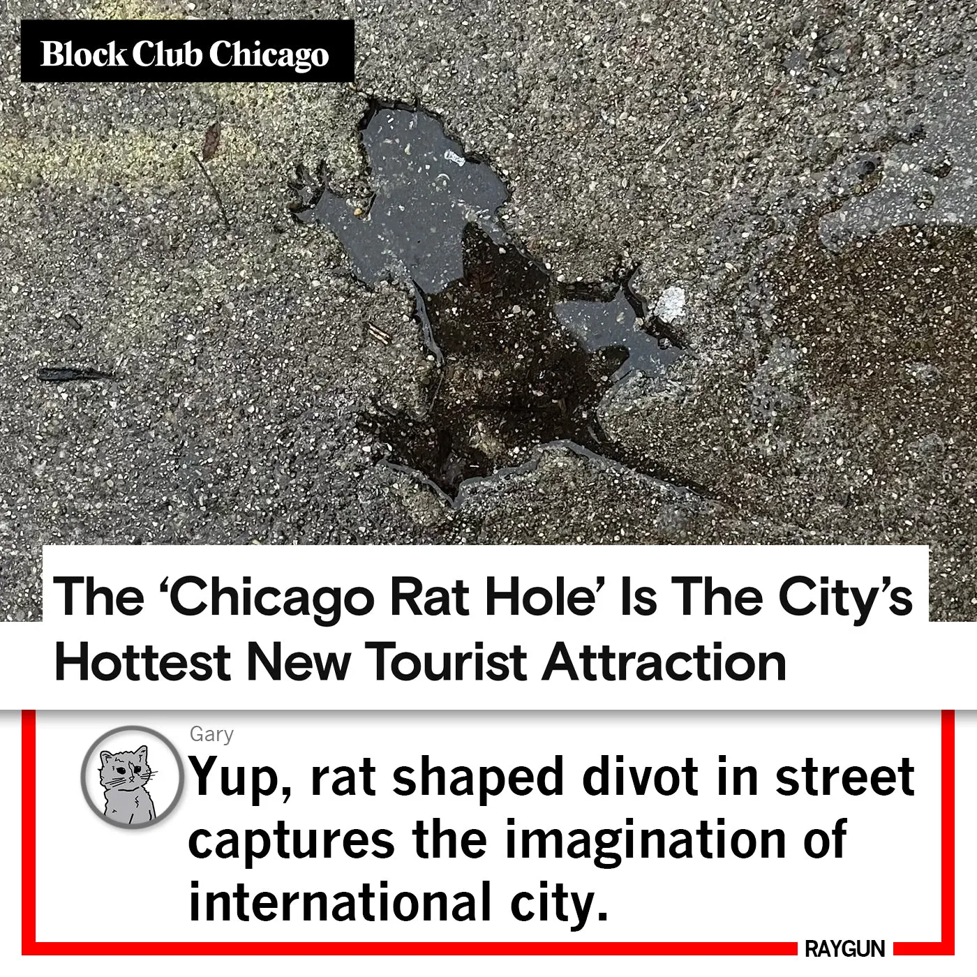 Chicago Rat Hole