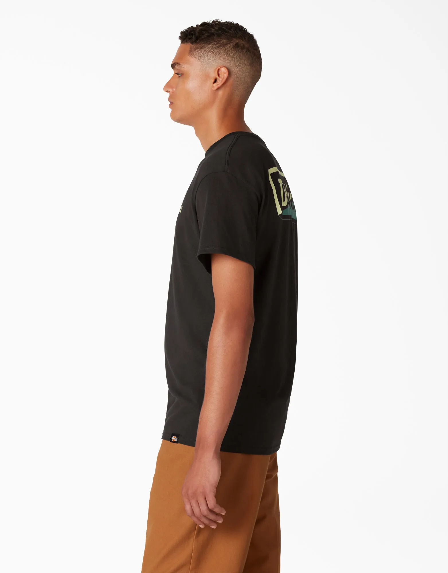 Dickies Skateboarding Split Graphic T-Shirt - Black (BK)