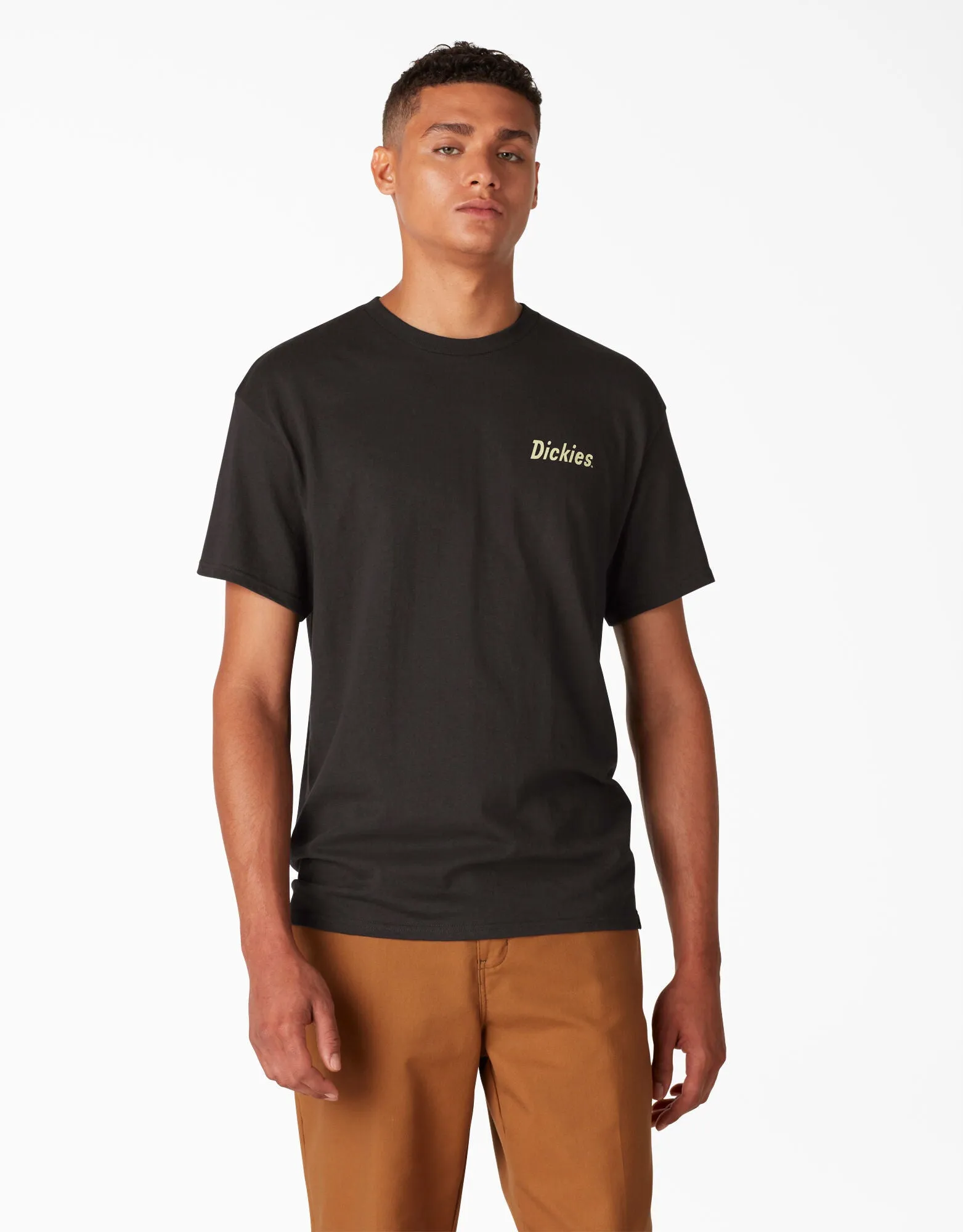 Dickies Skateboarding Split Graphic T-Shirt - Black (BK)